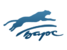 логотип - Барс ЧПТУП